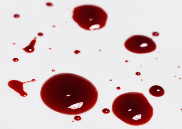 O valor do sangue no Antigo Testamento 